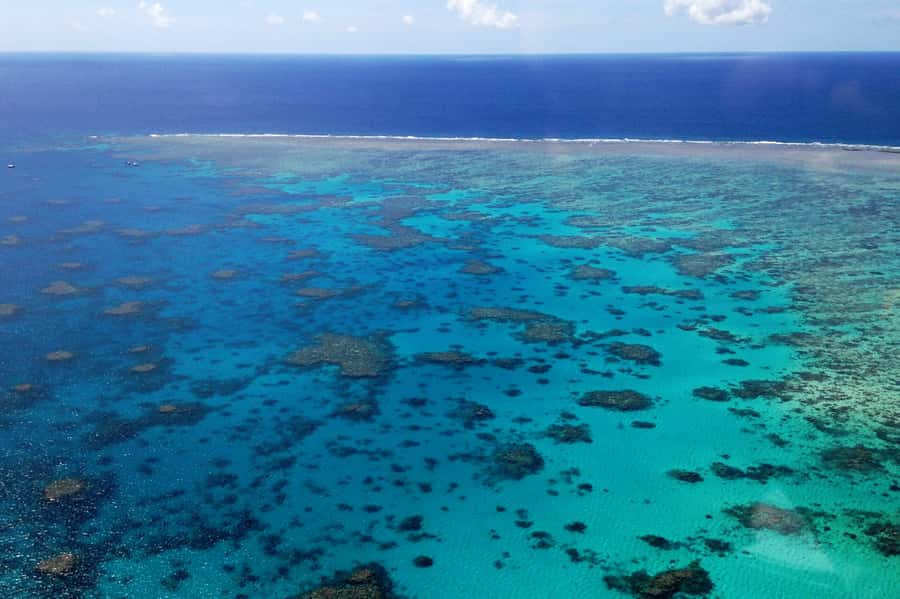 From Cairns: 40-Min Scenic Reef Window Seat Airplane Flight - Key Points Before You Fly