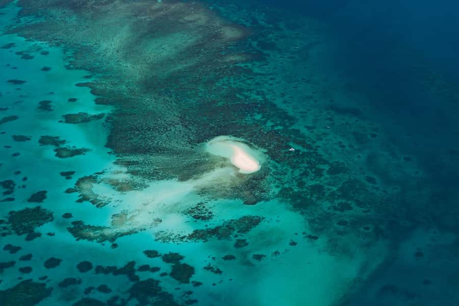 From Cairns: 40-Min Scenic Reef Window Seat Airplane Flight - Should You Book This Cairns Reef Window Seat Flight?