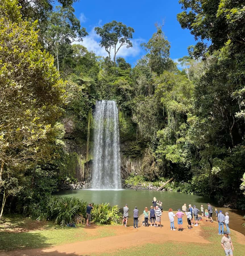 From Cairns: Atherton Tablelands and Paronella Park Day Trip - Price and value: what $124 gets you for a full Tablelands day