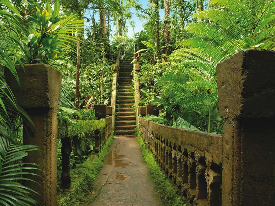 From Cairns: Atherton Tablelands and Paronella Park Day Trip - What I’d pack and how I’d pace your day