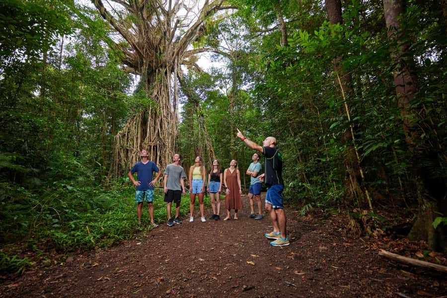 From Cairns: Barefoot Tablelands Waterfall & Rainforest Tour - Why this Atherton Tablelands day trip feels different