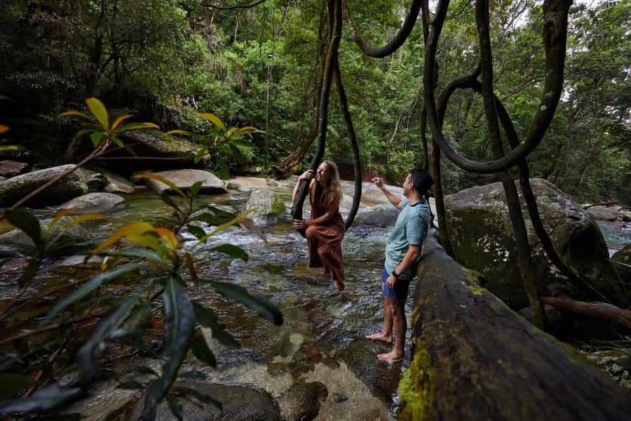 From Cairns: Barefoot Tablelands Waterfall & Rainforest Tour - Mungalli Falls picnic lunch and the local-produce touch