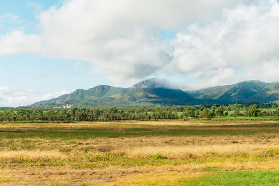 From Cairns: Chillagoe Caves and Outback Full-Day Tour - Skybury Coffee Plantation: the included morning tea that starts the day right
