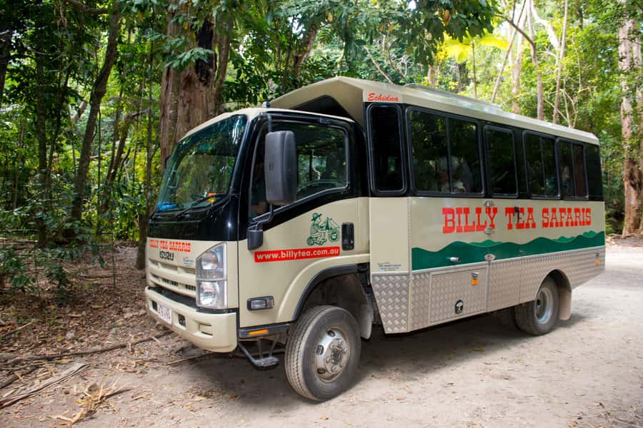 From Cairns: Daintree Rainforest & Cape Tribulation 4WD Tour - Key things I’d circle before you book