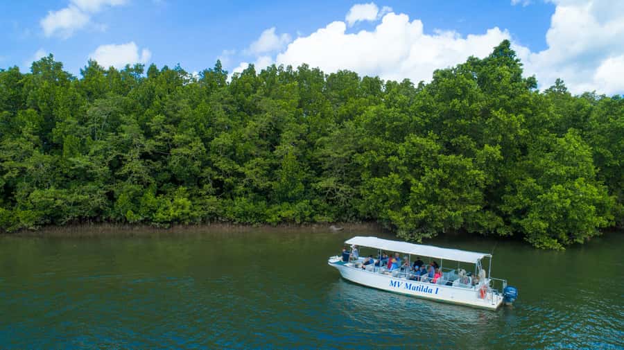 From Cairns: Daintree Rainforest & Cape Tribulation 4WD Tour - Price and value: is $162 worth it for this kind of day?