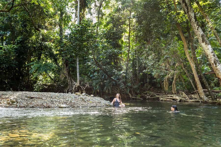From Cairns: Daintree Rainforest & Cape Tribulation 4WD Tour - Lunch in the rainforest area, then a freshwater swim break