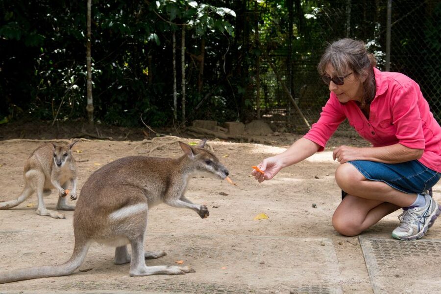 From Cairns: Daintree Rainforest & Cape Tribulation 4WD Tour - Cape Tribulation Beach: the coastal finale with options for views