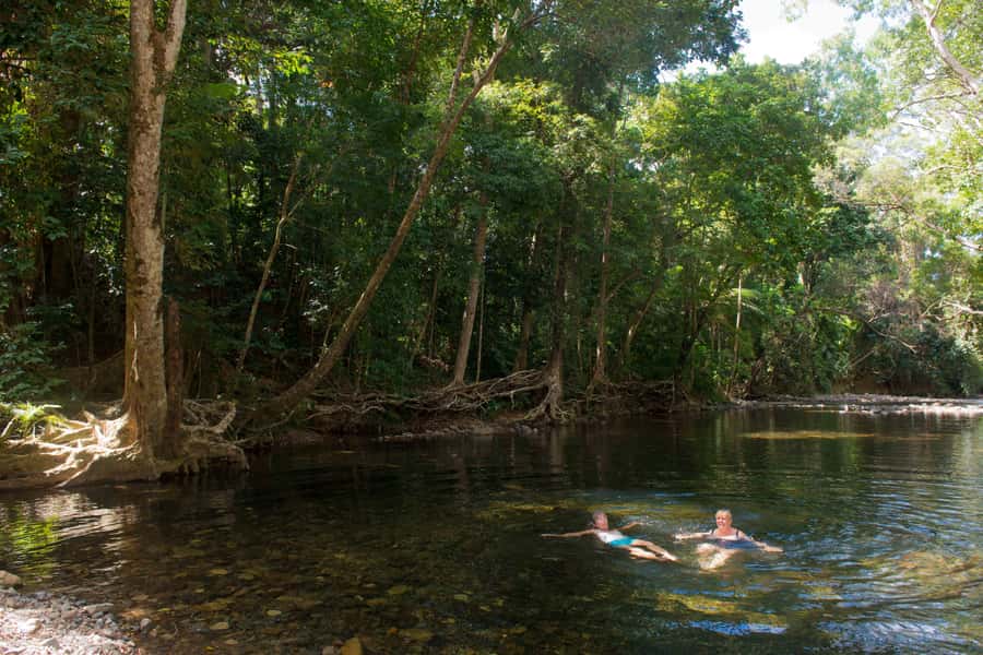 From Cairns: Daintree Rainforest & Cape Tribulation 4WD Tour - The Daintree Ice Cream Company stop: a sweet local finish