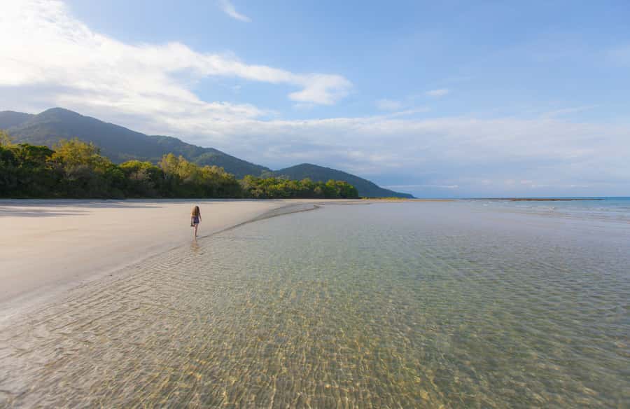 From Cairns: Daintree Wilderness & Cape Tribulation Bus Tour - From Cairns to Cape Tribulation, a long ride with real payoff