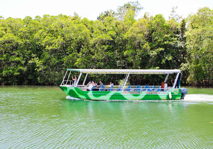 From Cairns: Daintree Wilderness & Cape Tribulation Bus Tour - Wildlife Habitat: five ecosystem stops and guided spotting time