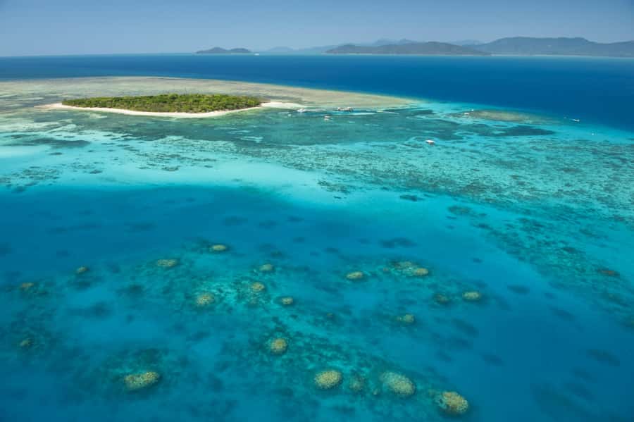 From Cairns: Full-Day Green Island Cruise - Quick Takeaways