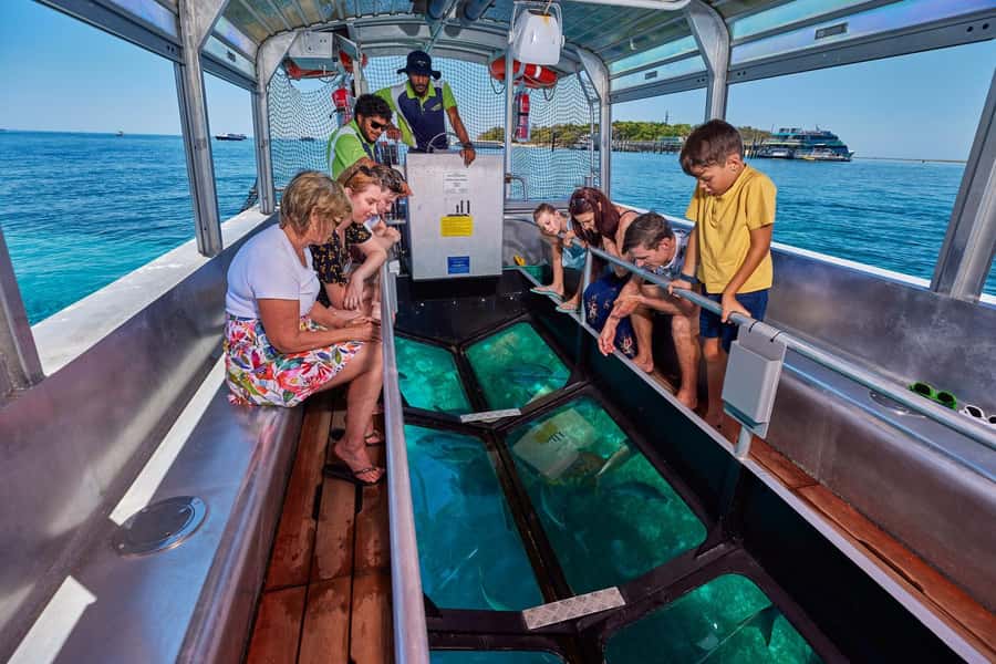 From Cairns: Full-Day Green Island Cruise - Lunch on a Reef Day: When It Adds Value