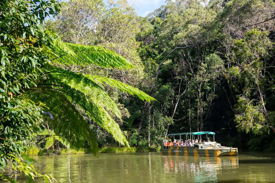 From Cairns: Full-Day Kuranda Army Duck Experience Tour - WWII Army Duck on land and water: fun, wildlife spotting, and a reality check