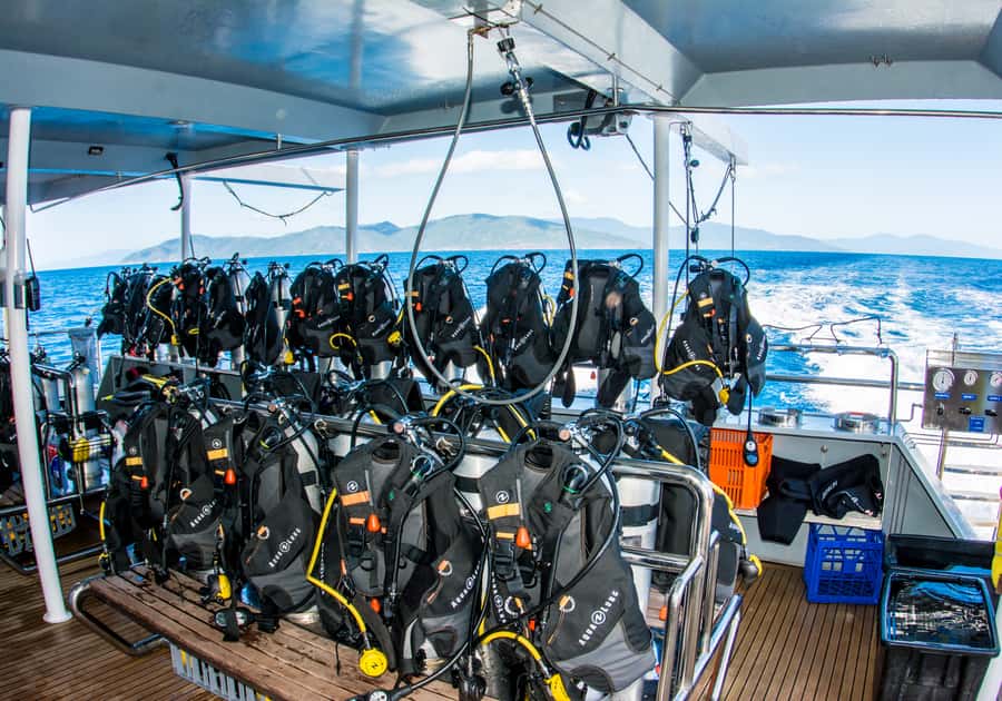 From Cairns: Great Barrier Reef Cruise by Premium Catamaran - Snorkeling Support That Makes It Safer, and More Enjoyable