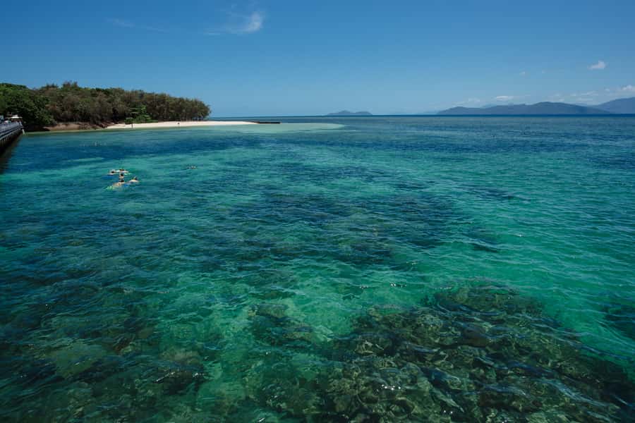From Cairns: Green Island Half-Day Morning Cruise - Key takeaways before you go