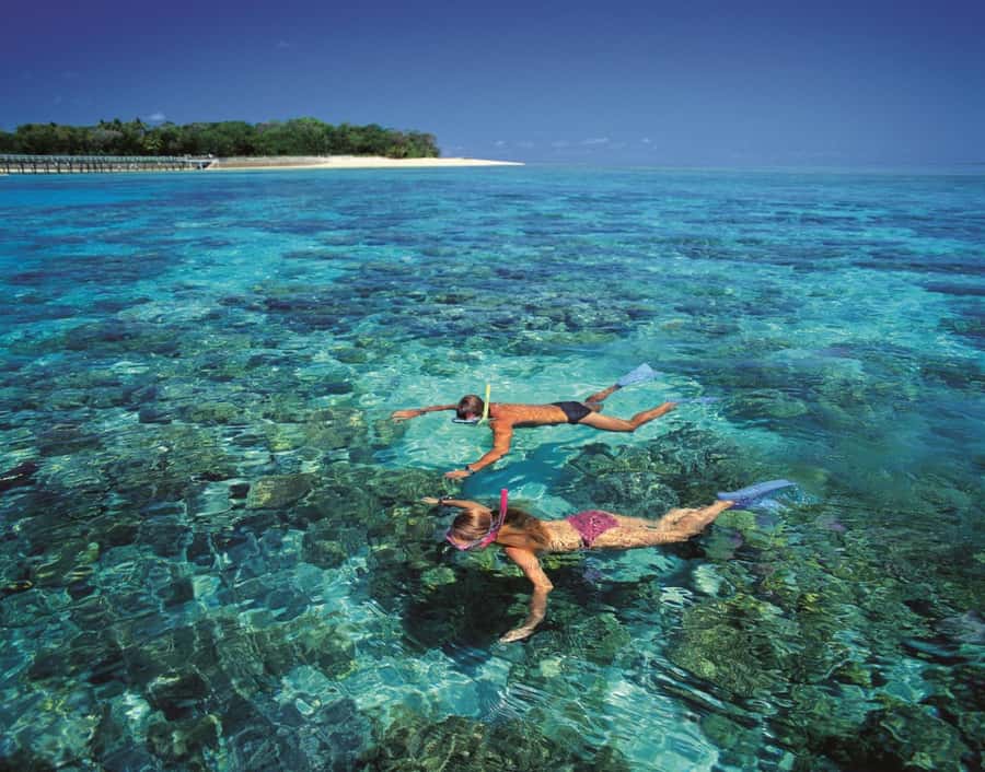 From Cairns: Green Island Half-Day Morning Cruise - Green Island: beach access, rainforest paths, and lots of birds