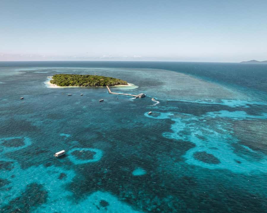 From Cairns: Half-Day Afternoon Cruise to Green Island - Snorkeling vs glass-bottom boat: pick the right reef option