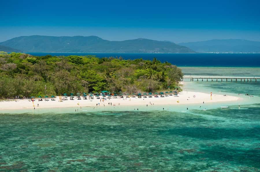 From Cairns: Half-Day Afternoon Cruise to Green Island - What you might see on the reef, and what can affect color
