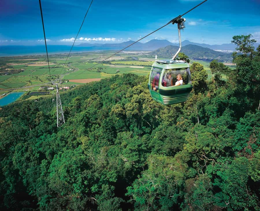 From Cairns: Kuranda Tour with Transfer - Two modes of travel, one rainforest story
