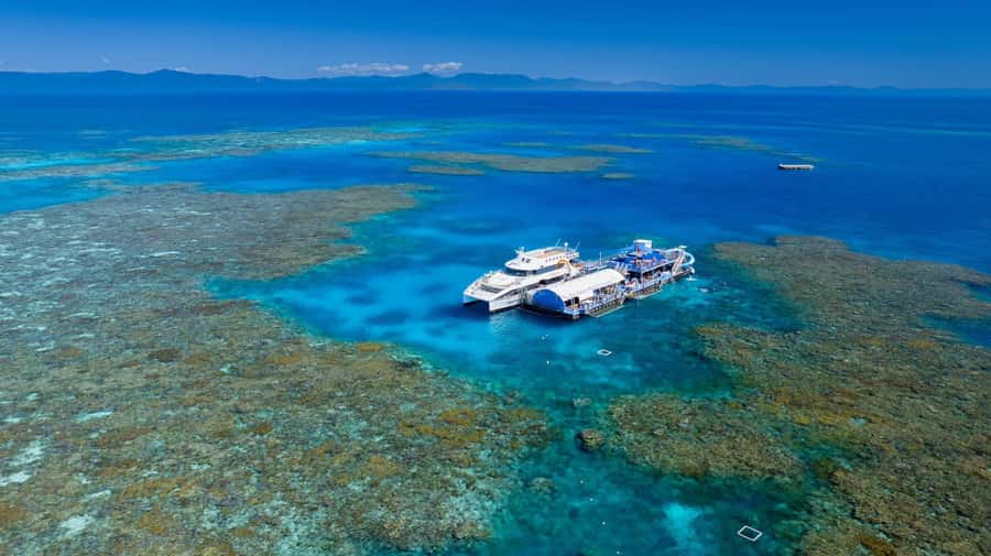 From Cairns: Outer Reef Pontoon, Island & Helicopter Tour - Moore Reef pontoon: snorkeling, glass-bottom viewing, and underwater observatory