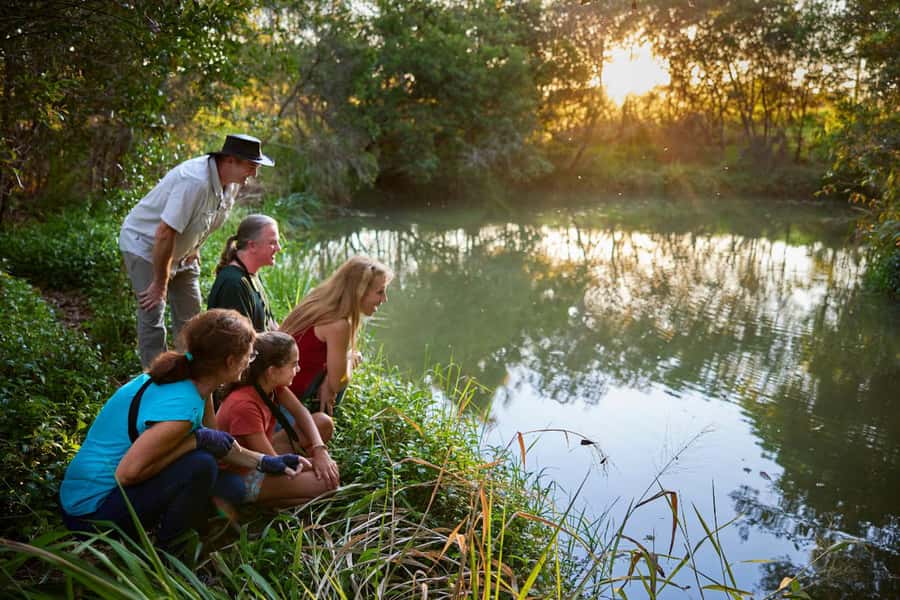 From Cairns: Rainforest & Nocturnal Wildlife Tour - Price and Value: What $155 Buys You in Real Terms
