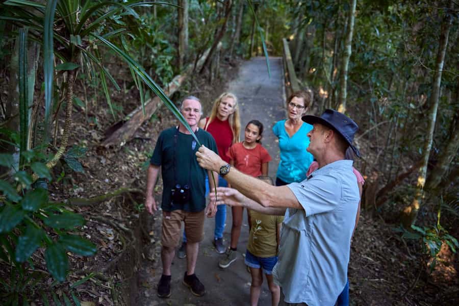 From Cairns: Rainforest & Nocturnal Wildlife Tour - Lake Barrine Afternoon Tea, Then a Rainforest Walk While It’s Still Light