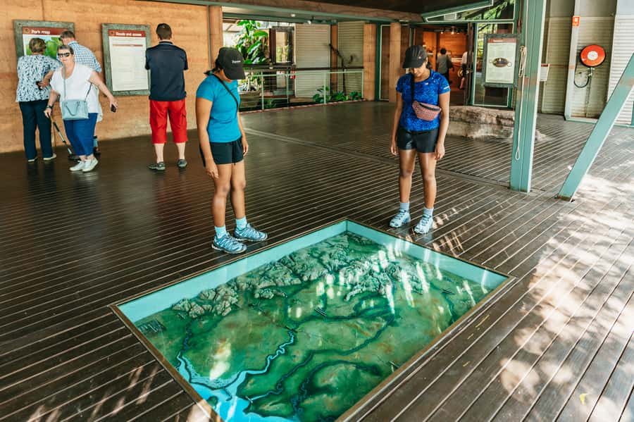 From Darwin: Kakadu Wilderness Escape & Rock Art Day Tour - Food, Water, Heat, and the Small Stuff That Makes a Big Difference