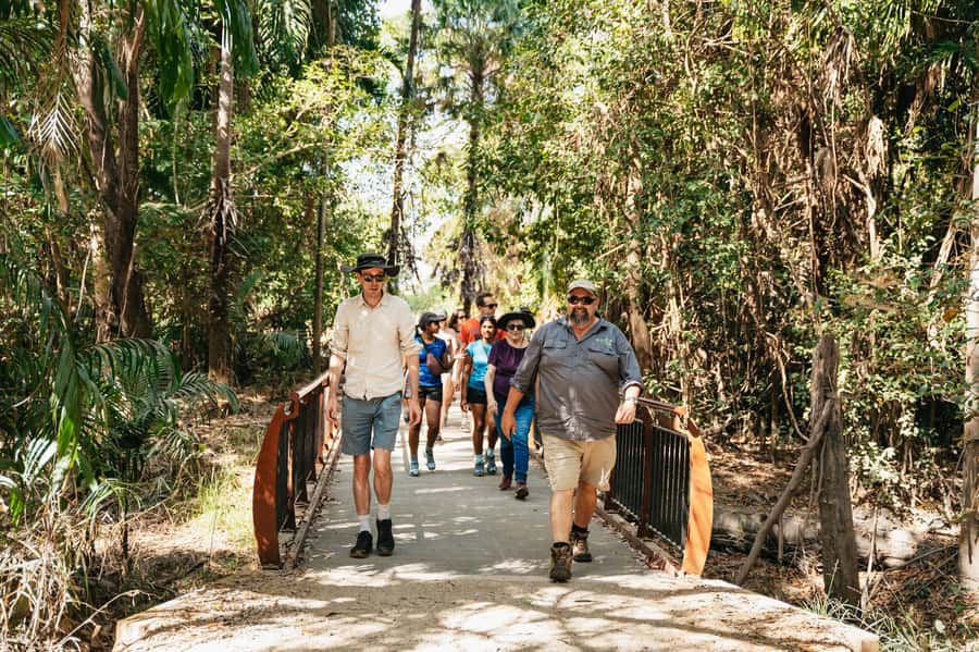 From Darwin: Kakadu Wilderness Escape & Rock Art Day Tour - Picking Your Morning: Adelaide River Jumping Crocs or Fogg Dam Wetlands