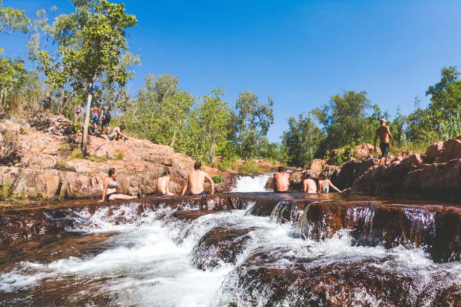 From Darwin: Litchfield National Park & Waterfalls Day Trip - Magnetic Termite Mounds: The Stop That Makes Litchfield Feel Scientific