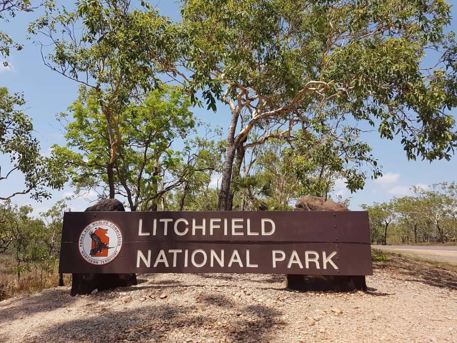 From Darwin: Litchfield National Park & Waterfalls Day Trip - Darwin to Litchfield: Adelaide River Wildlife and Optional Croc Cruise