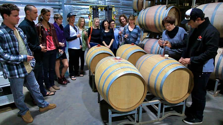From Dunsborough/Busselton: Margaret River Wine Adventure - Margaret River in six hours: pickup, pace, and what you actually do