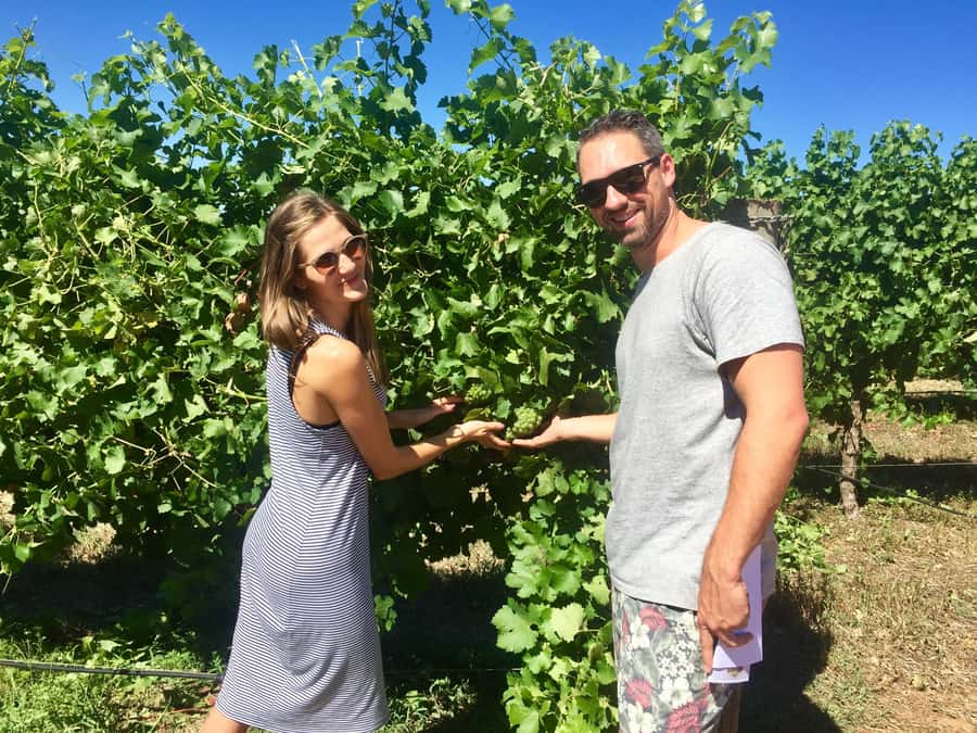 From Dunsborough/Busselton: Margaret River Wine Adventure - Guides, live commentary, and the small-group feel