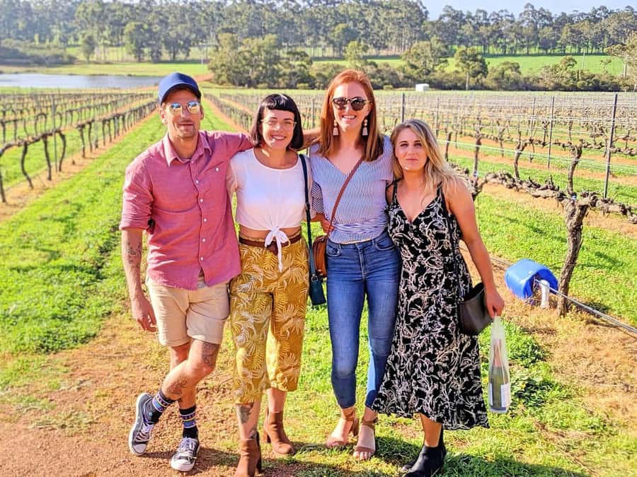 From Dunsborough/Busselton: Margaret River Wine Adventure - Price and value: why $123 can be a smart deal here