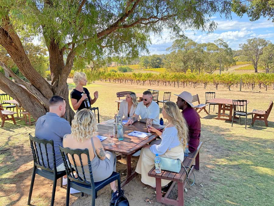 From Dunsborough/Busselton: Margaret River Wine Adventure - Should you book the Margaret River Wine Adventure from Dunsborough or Busselton?