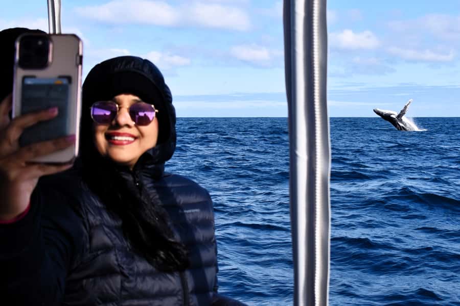 From Fremantle: 2-Hour Luxury Whale-Watching Cruise - Luxury whale watching from Fremantle, minus the zoo feeling