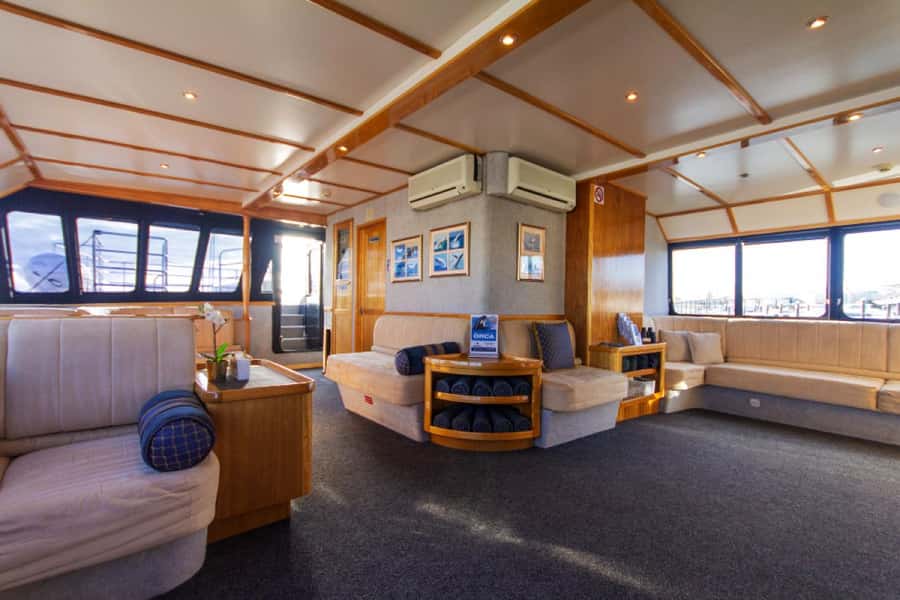 From Fremantle: 2-Hour Luxury Whale-Watching Cruise - Live expert commentary: when it turns sightings into understanding
