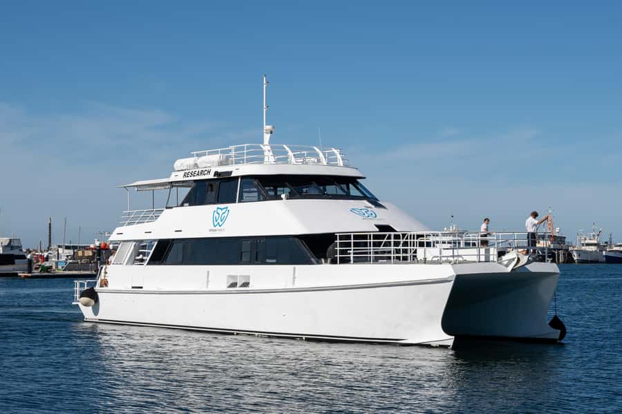 From Fremantle: 2-Hour Luxury Whale-Watching Cruise - Comfort matters, because the sea has a vote