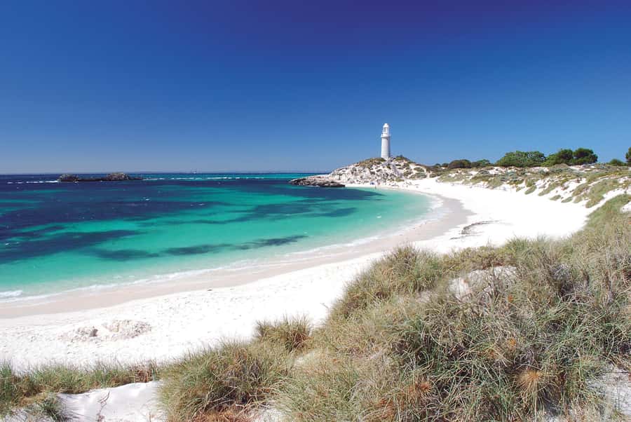 From Fremantle: Rottnest Island Ferry and Bike Day Tour - Afternoon Stops You Can Build Around: Basin, Parakeet Bay, and Little Armstrong Bay