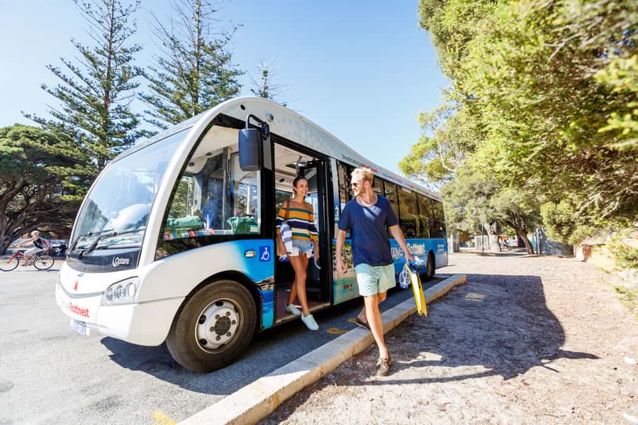 From Fremantle: Rottnest Island Ferry & Bus Day Tour - What you will see: beaches, bays, and Wadjemup Lighthouse