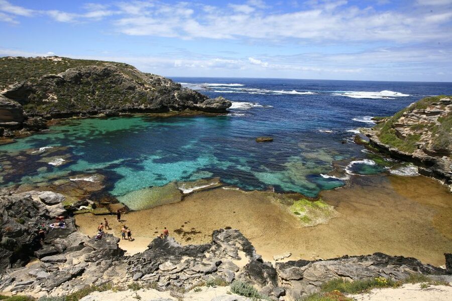 From Fremantle: Rottnest Island Ferry & Bus Day Tour - Free time on Rottnest: bikes, swimming, and wandering the Settlement