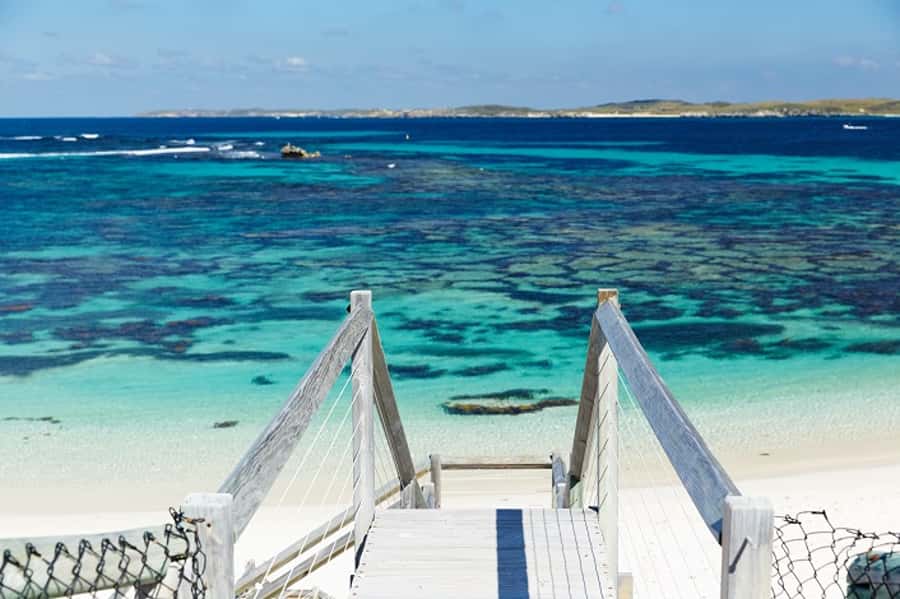 From Fremantle: Rottnest Island Ferry & Bus Day Tour - Who this day trip suits best