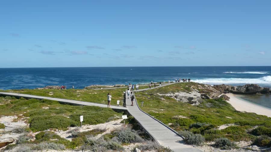 From Fremantle: Rottnest Island Ferry & Bus Day Tour - The 90-minute Discovery Coach Tour: how you get your bearings quickly