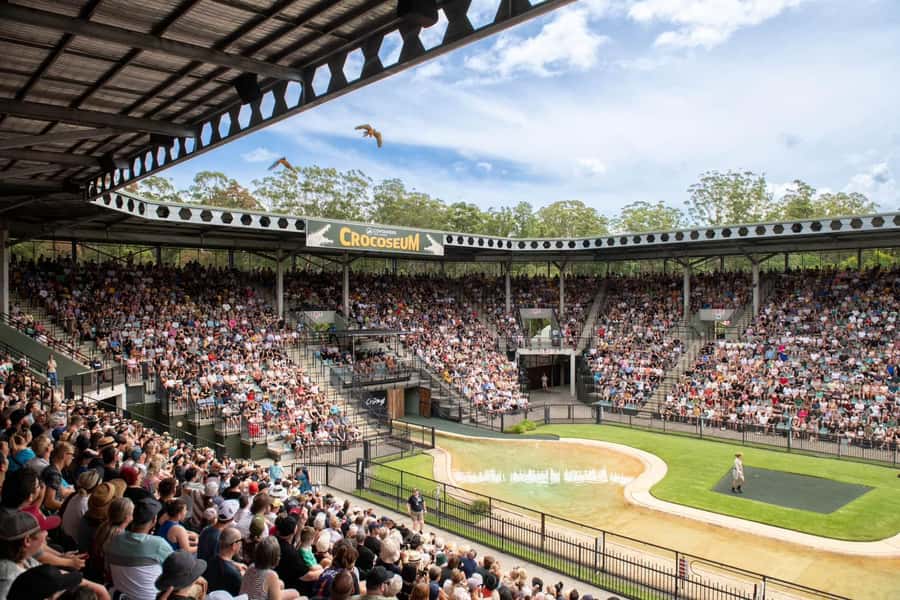 From Gold Coast : Australia Zoo Transfer and Entry Ticket - Key things to know before you go