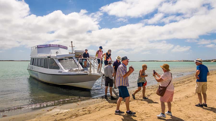 From Goolwa: Half-Day Coorong Experience - Lock chamber and sea level magic, plus fur seals in the channel