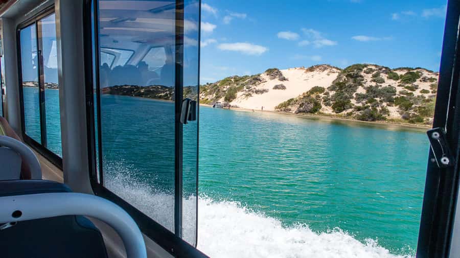 From Goolwa: Murray Mouth Cruise - Practical tips to get the most out of the day