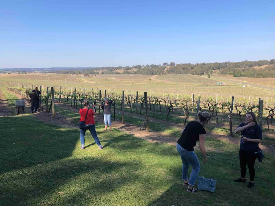From Haymarket: Hunter Valley Wine and Wildlife Day Trip - Chocolate and cheese tasting: a palate warm-up that makes wine easier