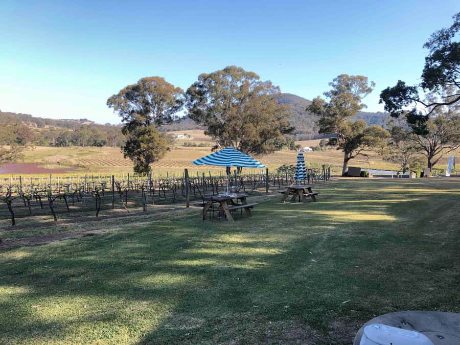 From Haymarket: Hunter Valley Wine and Wildlife Day Trip - Wine tasting options, lunch add-on, and how the fees work