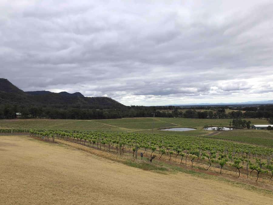 From Haymarket: Hunter Valley Wine and Wildlife Day Trip - Getting around, staying connected, and the small-group advantage