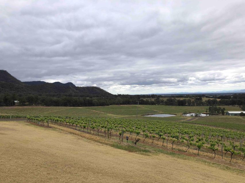 From Haymarket: Hunter Valley Wine and Wildlife Day Trip - Who should book this day trip (and who should skip it)