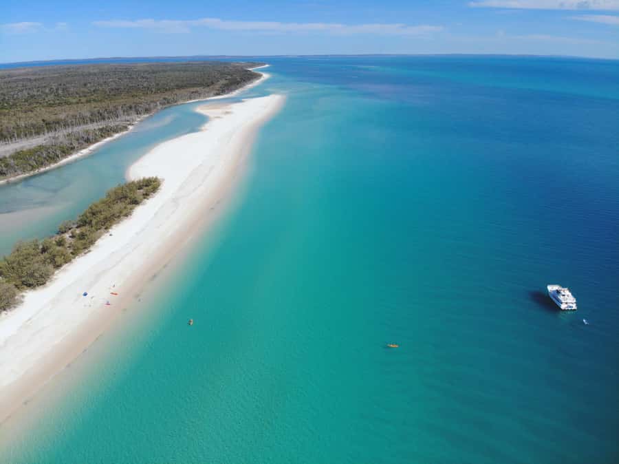 From Hervey Bay: Half-Day K'gari Fraser Island Beach Cruise - Key highlights worth planning for